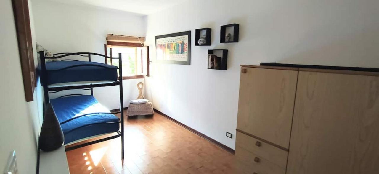 Apartment Beba